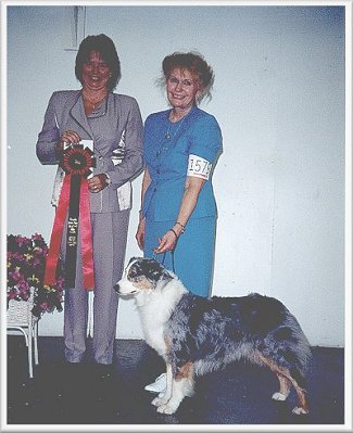 Star BOS Altered win 11/4/01