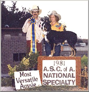 Dab - Most Versatile Aussie