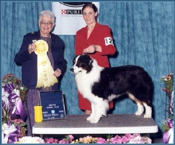 Katie and Dree winning Group 2