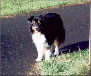 Flower at 14 1/2 years