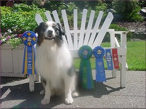 KC with his ribbons after completing his CD