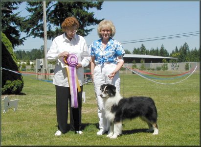 Pepe 2001 ASCA Summer Spectacular Best of Breed/Best of Show