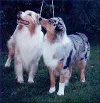 Left: Popcorn; Right: Pippin