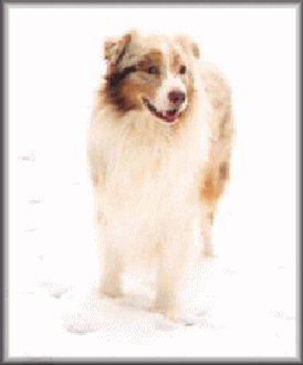 January 2003 Snow Day