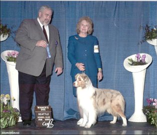 Blue Isle Wings of Donegal