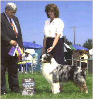 Topper Finishing AKC