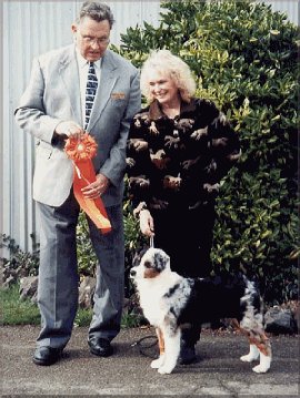 BOBP - Donegals A Wink And A Kiss - 'Winky'