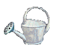 Watering Can