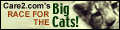 Race for the Big Cats