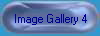Image Gallery 4