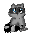 'Lil Raccoon