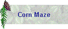 Corn Maze