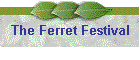 The Ferret Festival