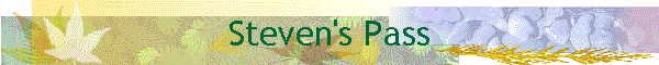 Steven's Pass