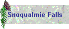 Snoqualmie Falls