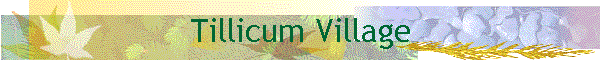 Tillicum Village