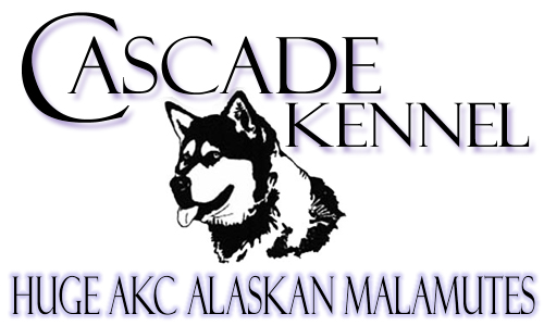 Welcome to Cascade Kennel