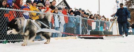 Ice Chunka at Leavenworth