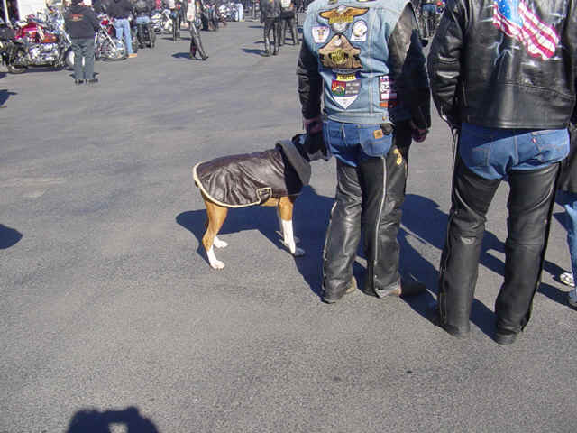 FB2005 006.jpg (155094 bytes)