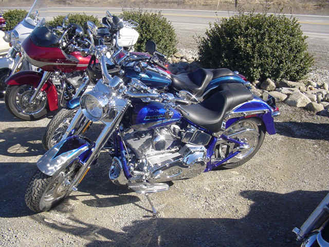 FB2005 047.jpg (160171 bytes)