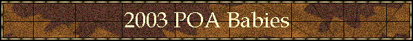 2003 POA Babies