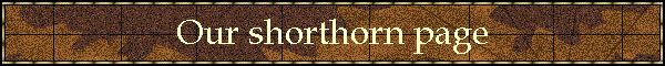 Our shorthorn page