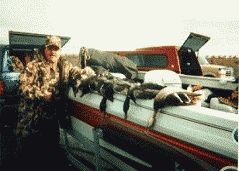 Professionally Guided Hunting Trips