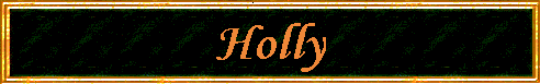 Holly