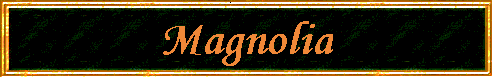 Magnolia