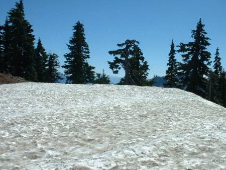 Snow. It felt like shaved ice