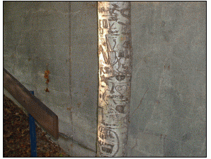 a tree in the park. i thought it was really cool because of all of the names on it.