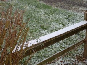 our only snowfall this year (in March 2003)