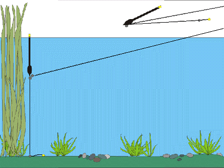 Waggler Float Fishing