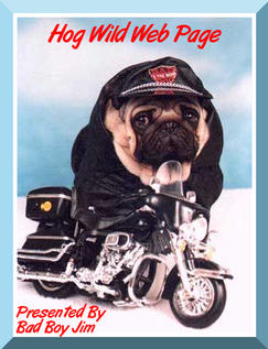 Hog Wild Web Page<br>
Presented By<br>
Bad Boy Jim