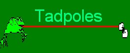 Tadpoles