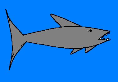 Drawing of grey shark showing teeth