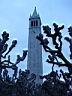 campanile_front.jpg