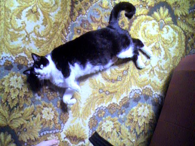 ps-can you see my toe a t the bottom?