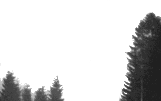 this is ruudboy's real movie of a ufo flying away