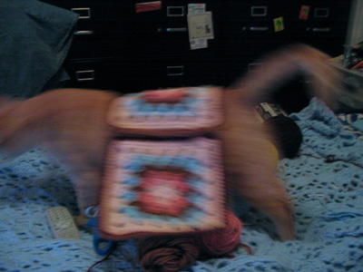 Sandy did not like the idea of wearing granny scarves