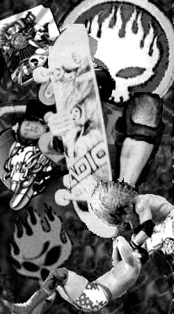 Greypic.jpg (28645 bytes)