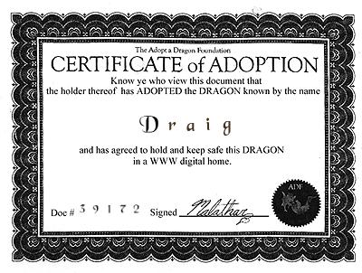 dragoncertificatebig.jpg (38472 bytes)
