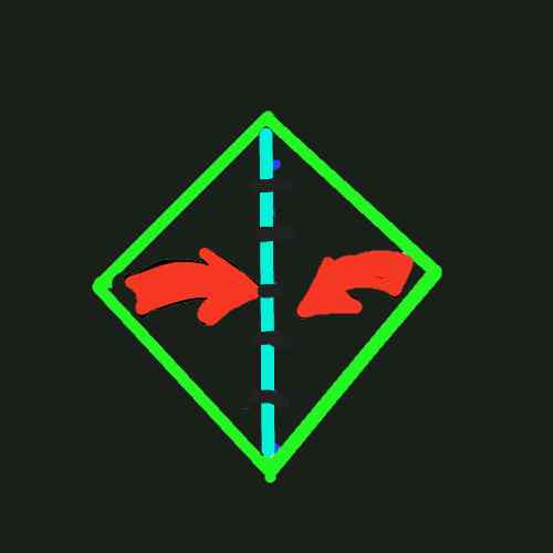 swan1.JPG (10526 bytes)