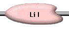 Li I