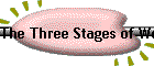 The Three Stages of Woman