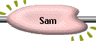 Sam