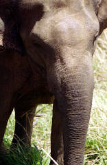 Feeling either bored or fed up