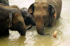 Time for gossip and chit chat 