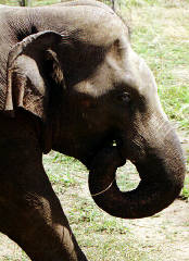 Looks as if making a quick exit