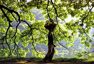Watti Amma - local small trader